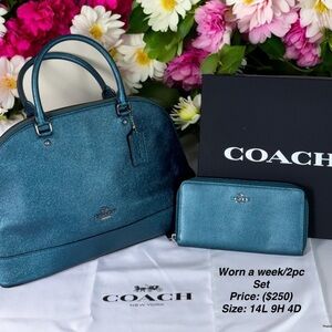 LIKE NEW MATCHING COACH LARGE BAG WITH MATCHING COACH WALLET RARE COLOR